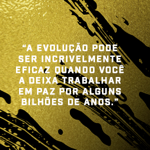 A evolução pode ser incrivelmente eficaz quando você a deixa trabalhar em paz (...)