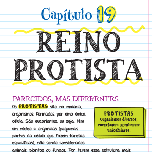 Manual do Mundo, Aprender brincando, Biologia, Ciência, Ciências da natureza, Ciências naturais