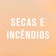 clima, tempo, 1984, 2084, mudança climática, fatos reais