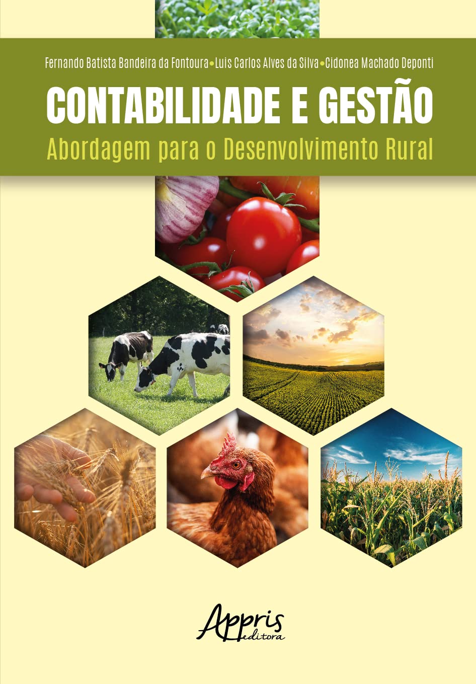 Contabilidade e Gestão: Abordagem para o Desenvolvimento Rural