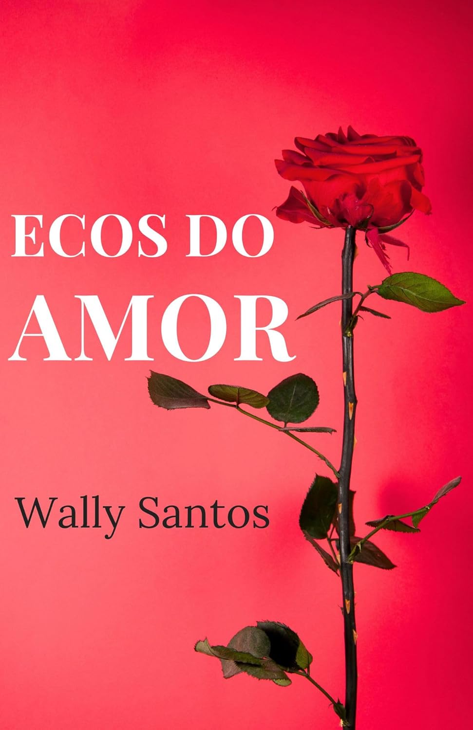 ECOS DO AMOR