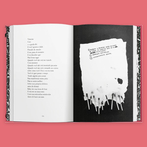 Livro aberto: poema e ilustrações