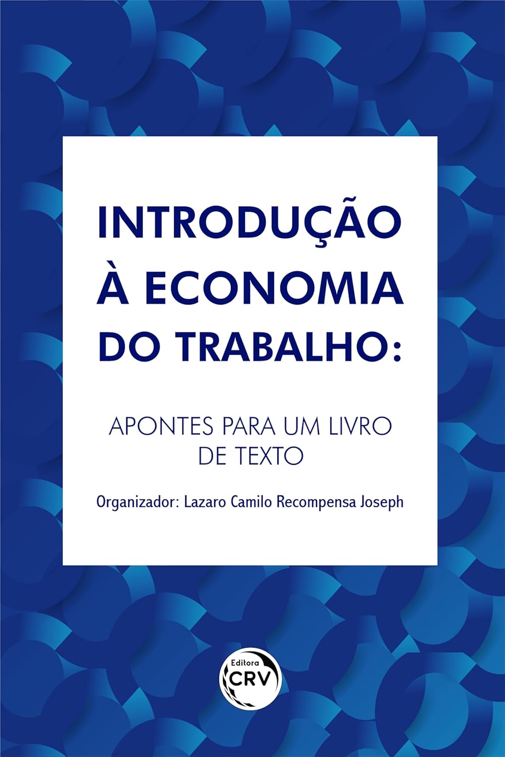 Introdução à economia do trabalho: apontes para um livro de texto