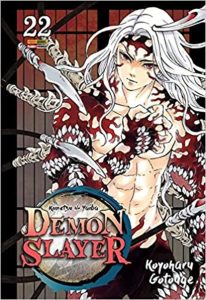 Demon Slayer - Kimetsu no Yaiba Vol. 22