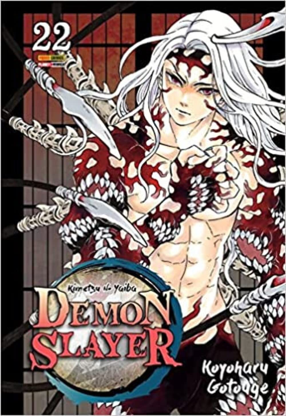 Demon Slayer - Kimetsu no Yaiba Vol. 22