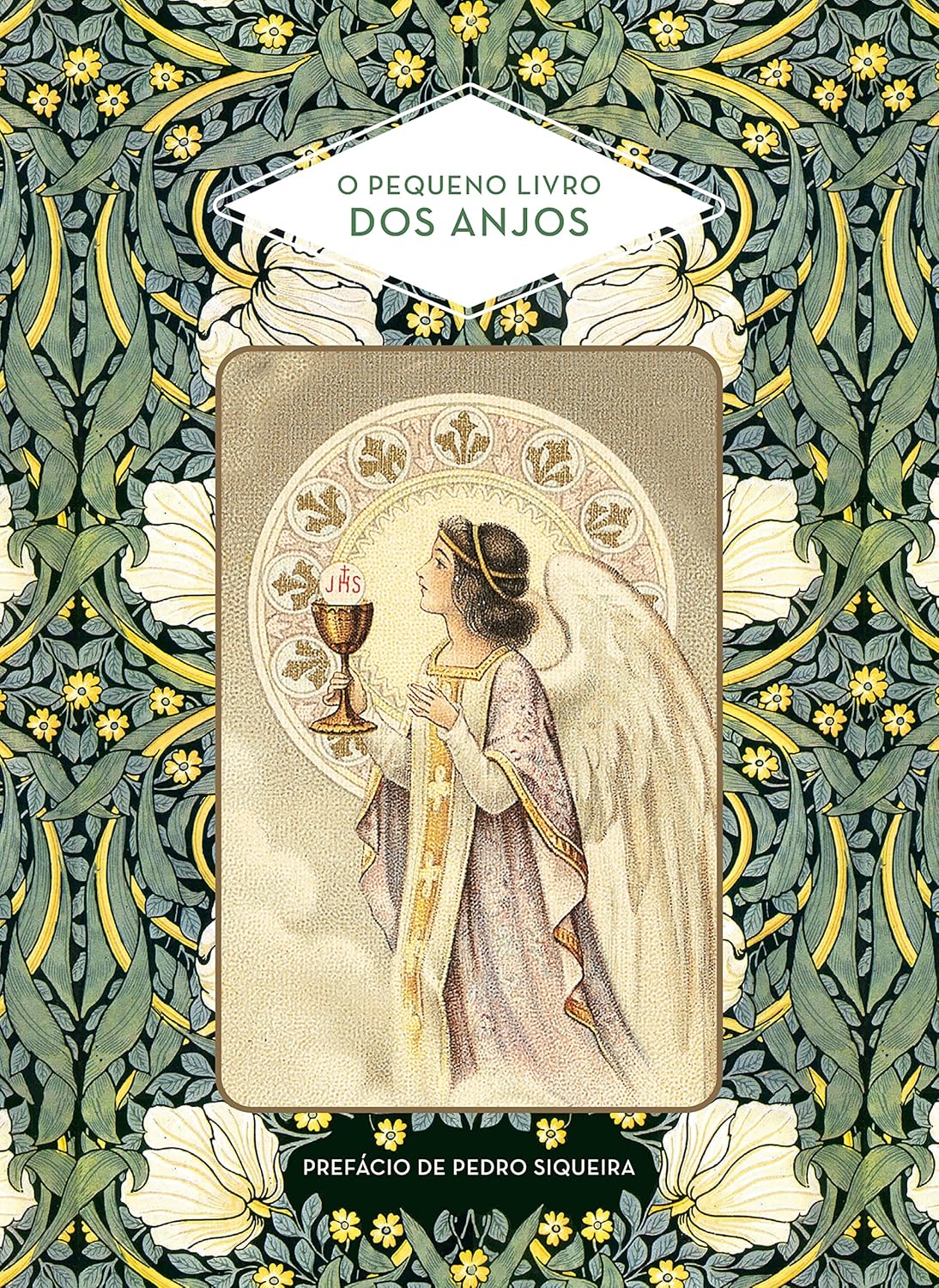 O pequeno livro dos anjos
