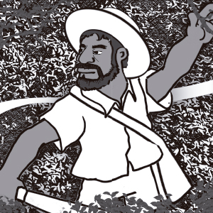 Samba de Roda