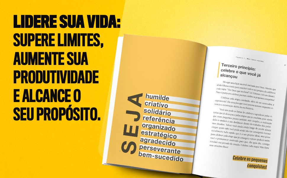 lidere sua vida