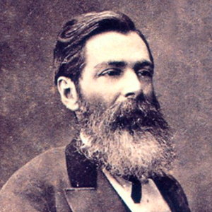jose de alencar; literatura oitocentista; literatura brasileira; indianismo; romance urbano