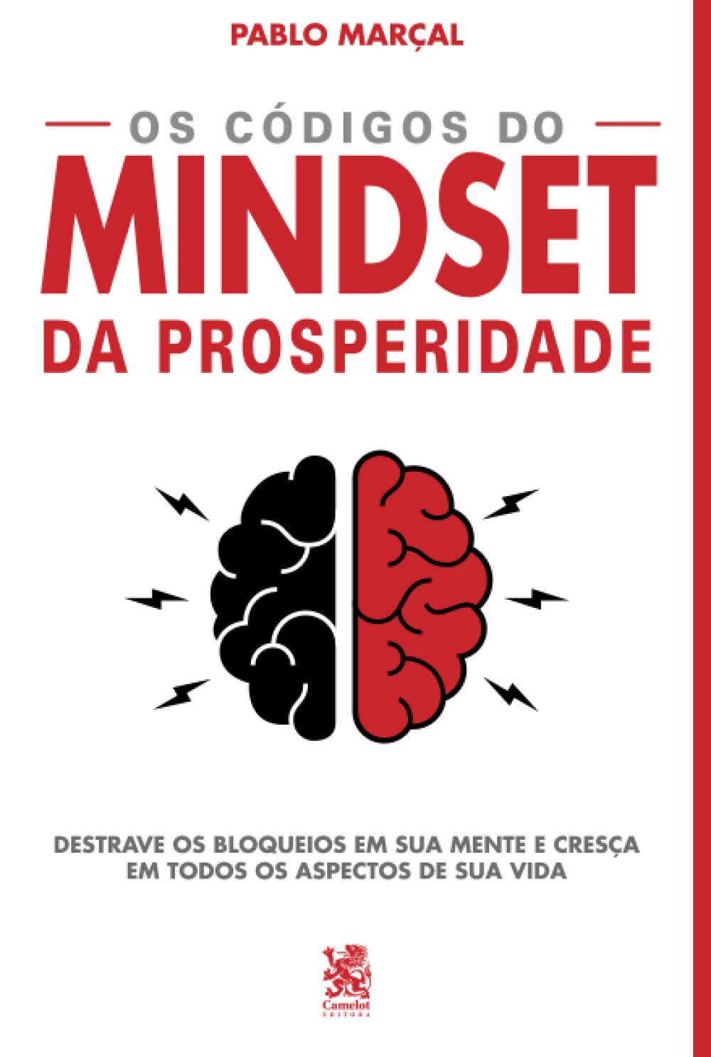 Os Códigos do Mindset da Prosperidade - Pablo Marçal